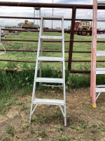 5' ALUMINUM LADDER