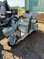 IRGC 40 mini golf cart