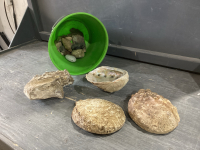 GREEN BUCKET WITH SHELLS + ROCKS