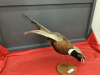 TAXIDERMY PHEASANT ON WOOD STAND - 2