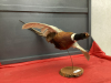 TAXIDERMY PHEASANT ON WOOD STAND - 3