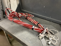 2 SETS OF CANDY CANES