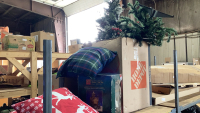 SHELF #13 - VARIETY OF CHRISTMAS DECOR
