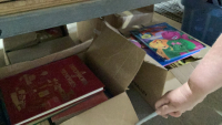 SHELF #9 - ASSORTED BOOKS - KIDS, ADULT, REFERENCE
