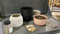 PLANT POTS + LAVA STONES