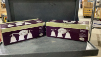 (2) BRUSHED NICKEL VANITY LIGHTS