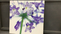 FLORAL CANVAS