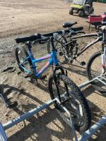 Algonkin 24 bicycle