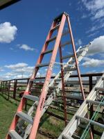 10 foot sturdy ladder
