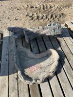 Concrete birdbath