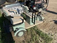 Two seat electric golf cart