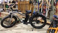 VAMOOSE ELECTRIC BIKE