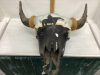 BUFFALO SKULL