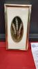 BERTING GLASS WHEAT DESIGN IN METAL SHADOW BOX