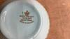 MYOTT LARGE CHINA SET - "BONNIE-DUNDEE - 9