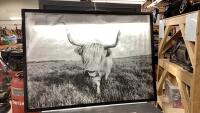 LARGE HIGHLAND COW CANVAS WITH METAL FRAME