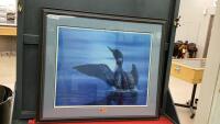 LARGE LOON PICTURE - BY H. ANDREWS