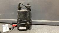 RED LION SUMP PUMP