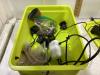 HYDROPONIC KIT - 2