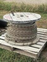Partial roll of plastic coated chain