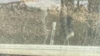 (3)WINDOWS ALL ARE SCREW OUT CASEMENT