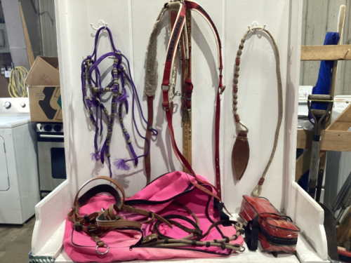 HOT PINK EQUINE BAG WITH CONTENTS