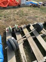 Barbell and weights