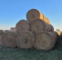 34 BALES OF 2ND CUT ALFALFA / BIDDING PER BALE