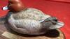 DUCKS UNLIMITED SPONSOR DECOY - 2