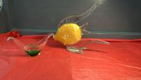 GLASS ANGEL FISH SCULPTURE AND SERVING BOAT