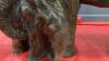 ELEPHANT COW WITH CALF - 3
