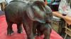 ELEPHANT COW WITH CALF - 4