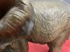 ELEPHANT COW WITH CALF - 5