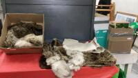 BOX W/ MISC FUR PIECES, FAIRLY LARGE PIECE OF THICK LEATHER