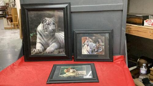 (3) TIGER PICTURES