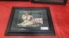(3) TIGER PICTURES - 4