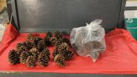 (2) BAGS OF CRAFTING PINECONES