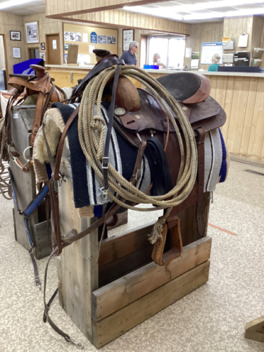 TOOLED 15 INCH WESTERN SADDLE WITH BILLY COOK BREAST COLLAR, BRIDLE W/BIT AND REINS, TIE DOWN,