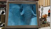 LARGE ELEPHANT PICTURE