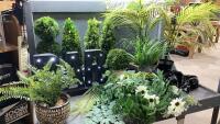 (2)BOXES- ARTIFICIAL PLANTS . GREENERY + &ldquo;BAR&rdquo; SIGN