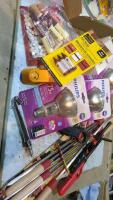 BBQ lighters and skewers, 75watt bulbs, aluminum nails, tarp strap,