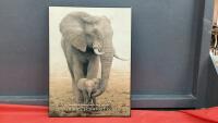 ELEPHANT & BABY PICTURE - "SO WILL I COMFORT YOU" ISAIAH 66:13