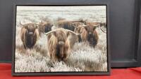 HIGHLAND COW PICTURE ON CANVAS