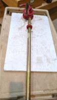 Rotary fuel pump