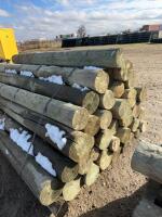 Bundle of 8 foot corral post