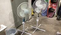 (2) STAND FANS