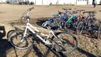WHITE "EVERYDAY" ADULT BIKE - 21 SPD