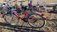 70TH ANNIVESARY SUPERCYCLE COLLECTOR BIKE