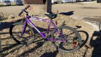 PURPLE CCM ADULT BIKE