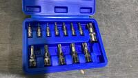 TORX VIT SET - 1/4", 3/8", 1/2" DRIVES